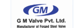 G M Valve Private Limited