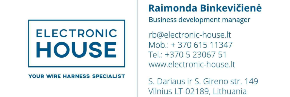 Electronic House