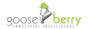 Gooseberry Industrial Intelligence